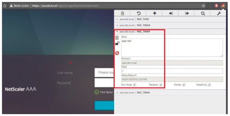 NetScaler logon page
