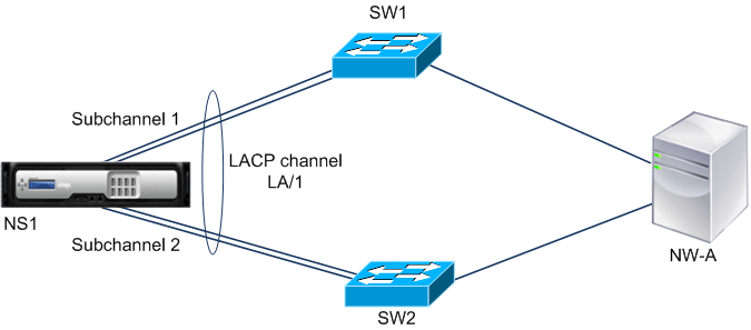 lr lacp