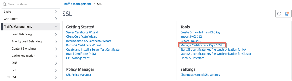 View converted PEM file