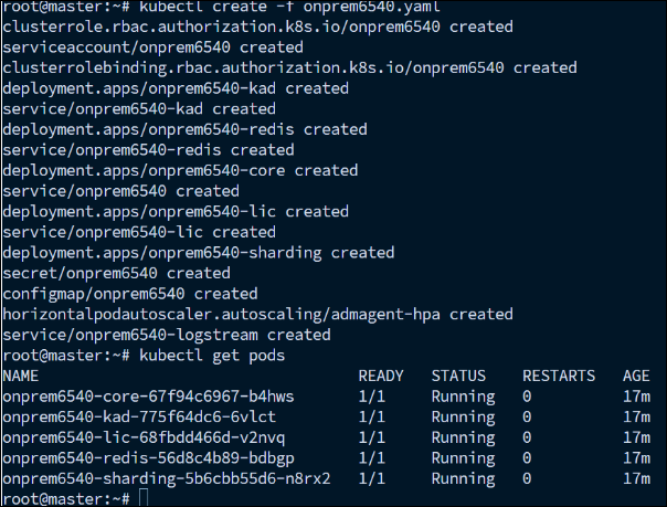 Kubernetesクラスターに作成されたNetScalerエージェント