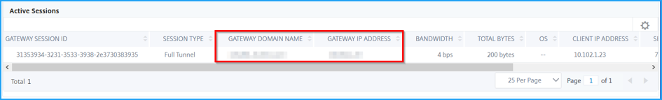Gateway Insight のアクティブなセッション