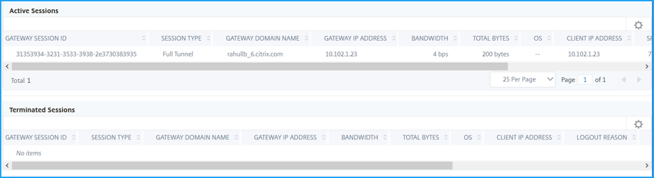 Gateway Insight のアクティブなセッションと終了したセッション