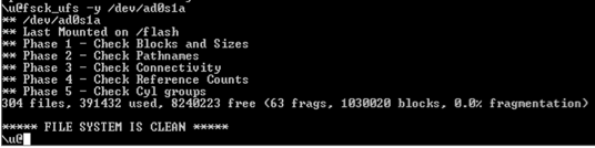 File system integrity flash