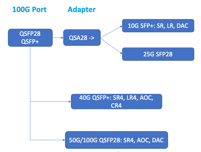 100G port transceiver mapping
